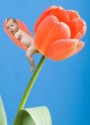 Kinderfoto